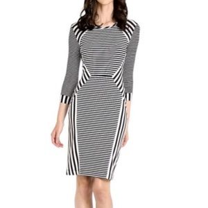 NWT DVF Women’s dress. Striped. knee length